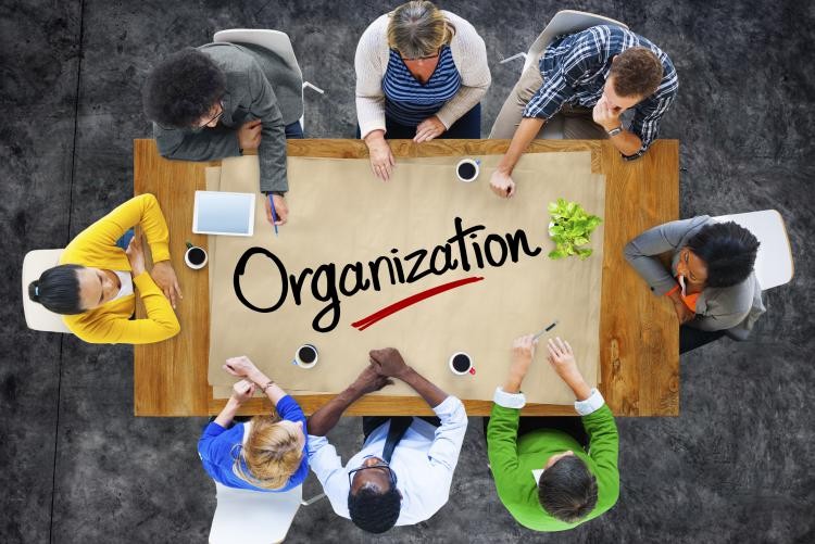 Organizzazione